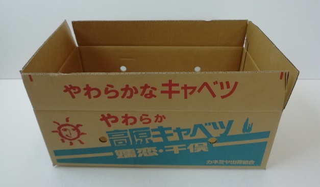 キャベツ(きゃべつ)10kg箱